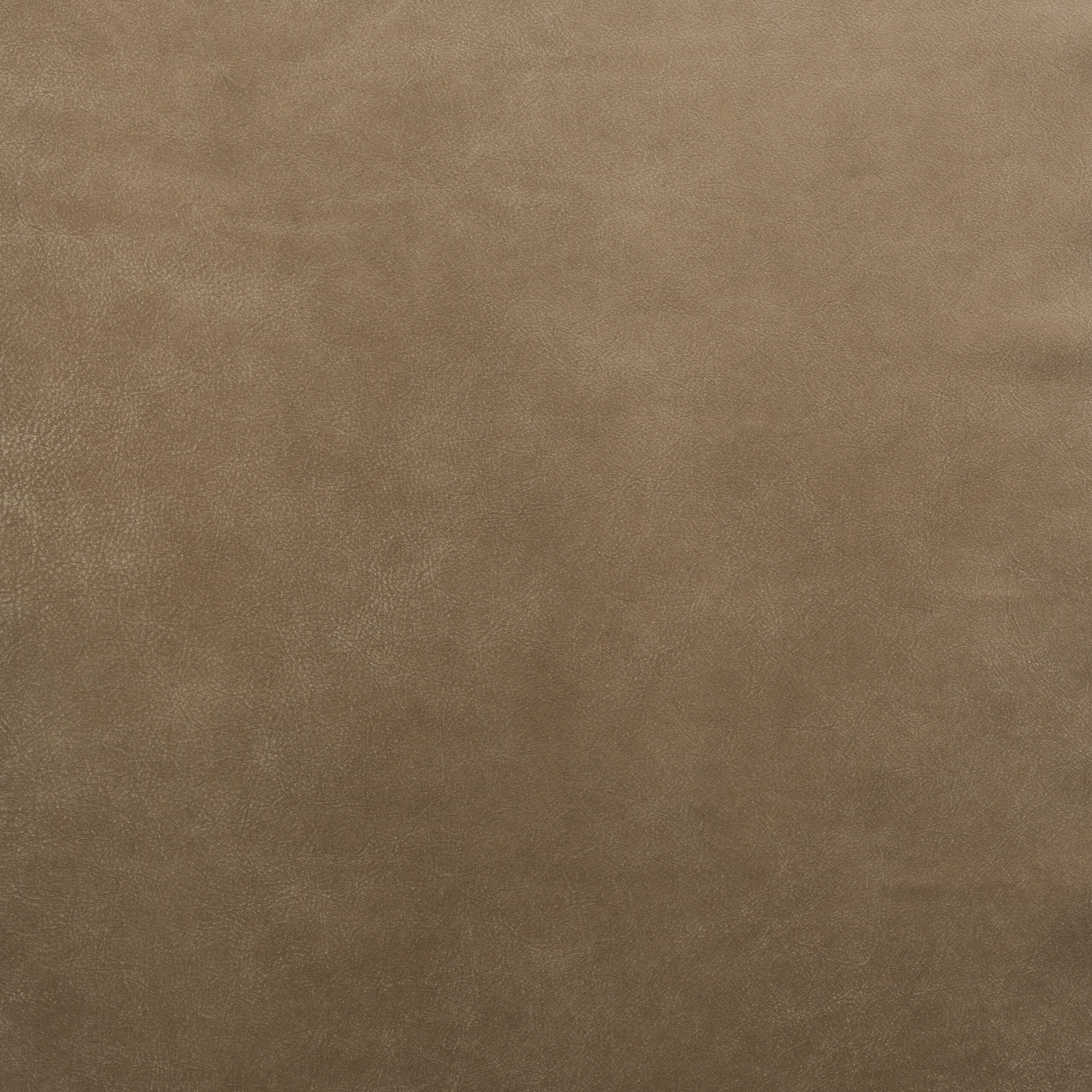 Dirty Martini – light grey cream full grain leather swatch with a smooth texture