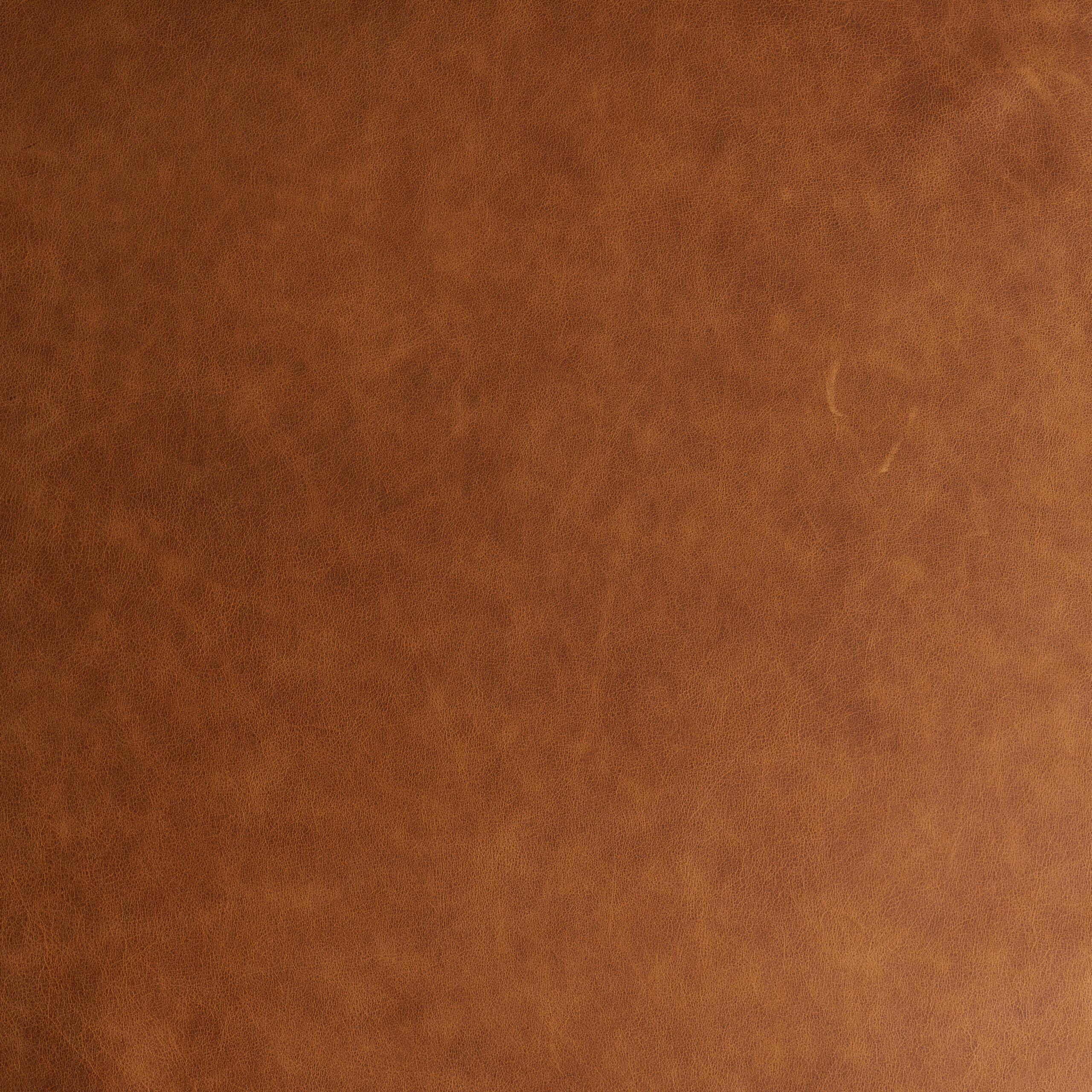 Spiced Rum – brown rustic leather swatch with a natural texture